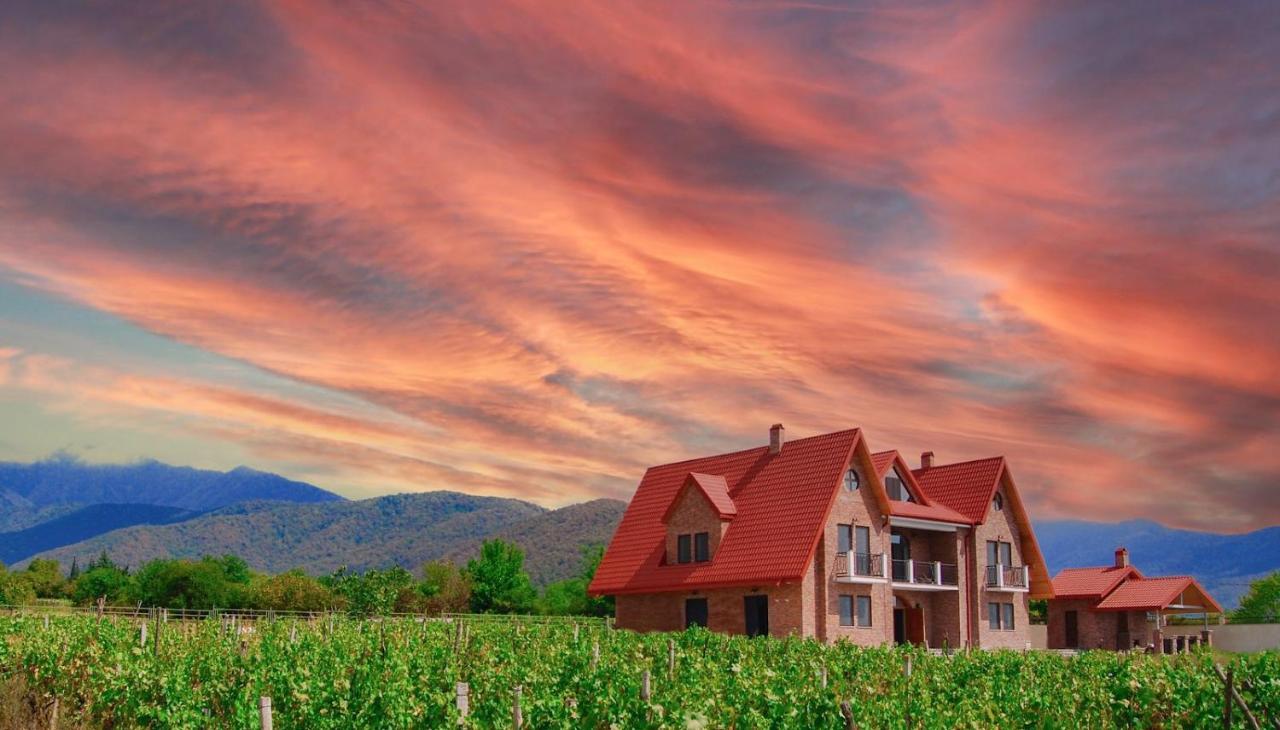 Begaso Family Winery 호텔 크바렐리 외부 사진