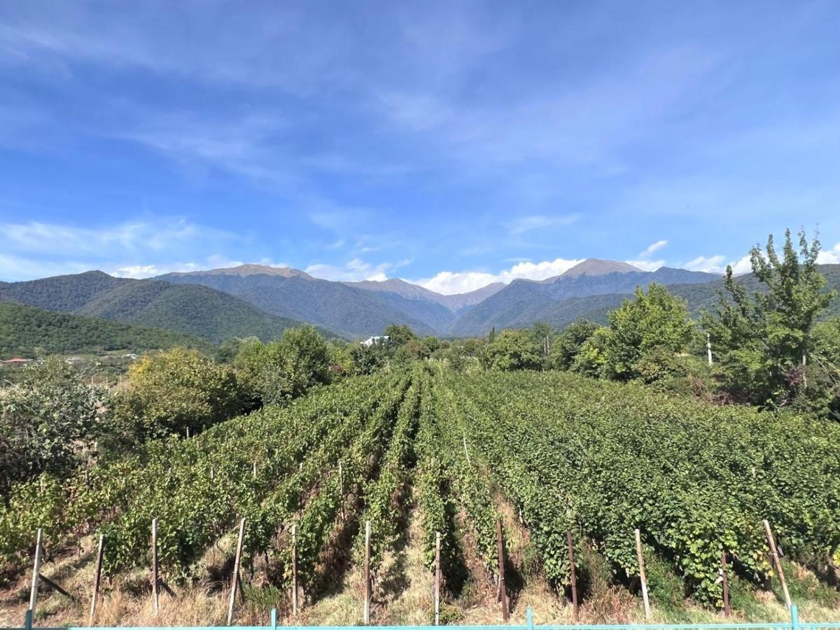 Begaso Family Winery 호텔 크바렐리 외부 사진